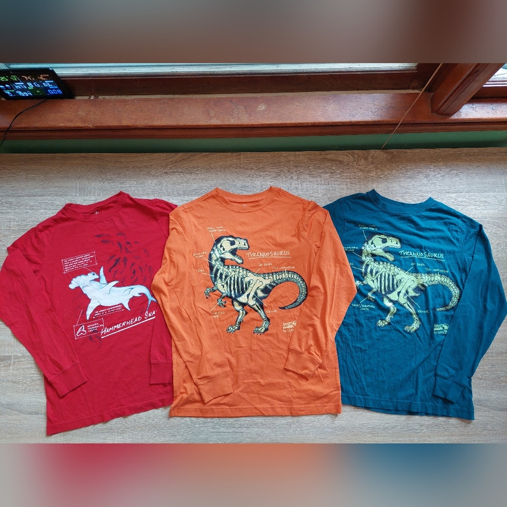 Land's End euc/ln Size 14-16 tees - Picture 14 of 15